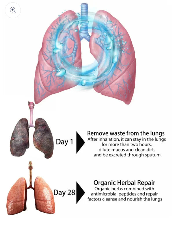 Seurico™ Organic Herbal Lung Cleanse Repair Nasal Spray