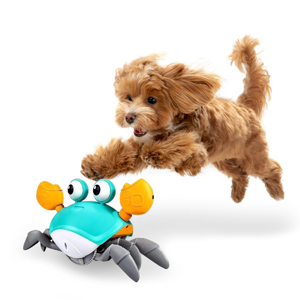 Seurico™ Crawling Crab - Interactive Dog Toy